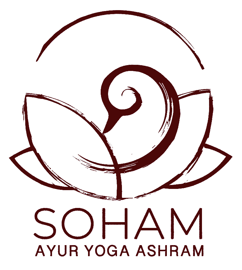 YOGAATHMA FOUNDATION (SOHAM AYUR YOGA ASHRAM) logo